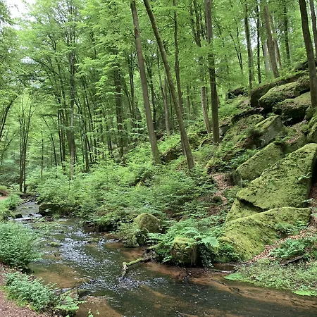 Hotel Burgschanke 2*