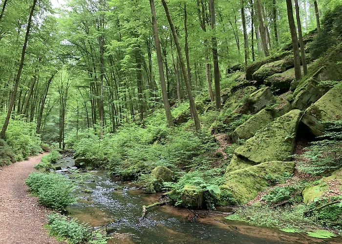 Hotel Burgschänke 2*